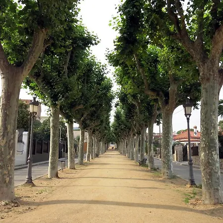 Front Canet * Canet De Mar