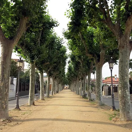 Front Canet * Canet De Mar