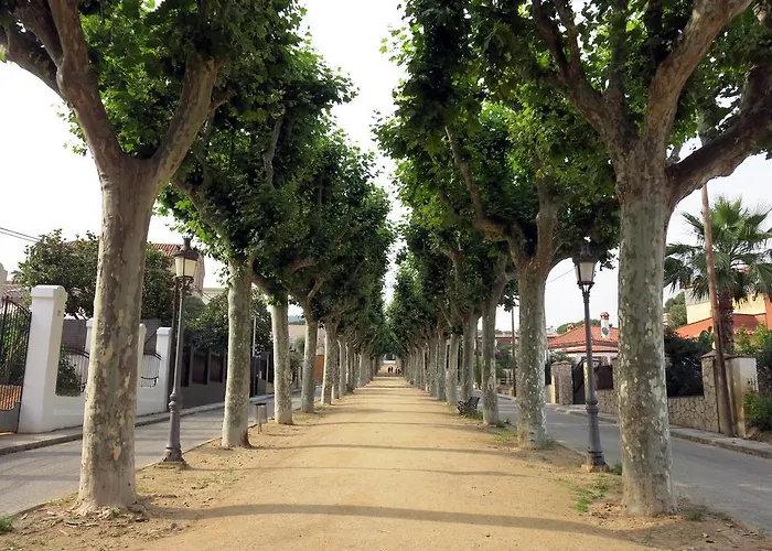 Front Canet * Canet De Mar